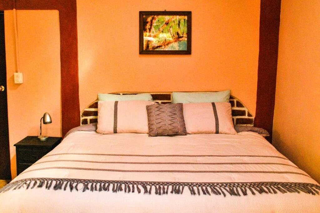 Hostal Casa 4 Estaciones, Coliving & Nature San Cristóbal de Las Casas Dış mekan fotoğraf