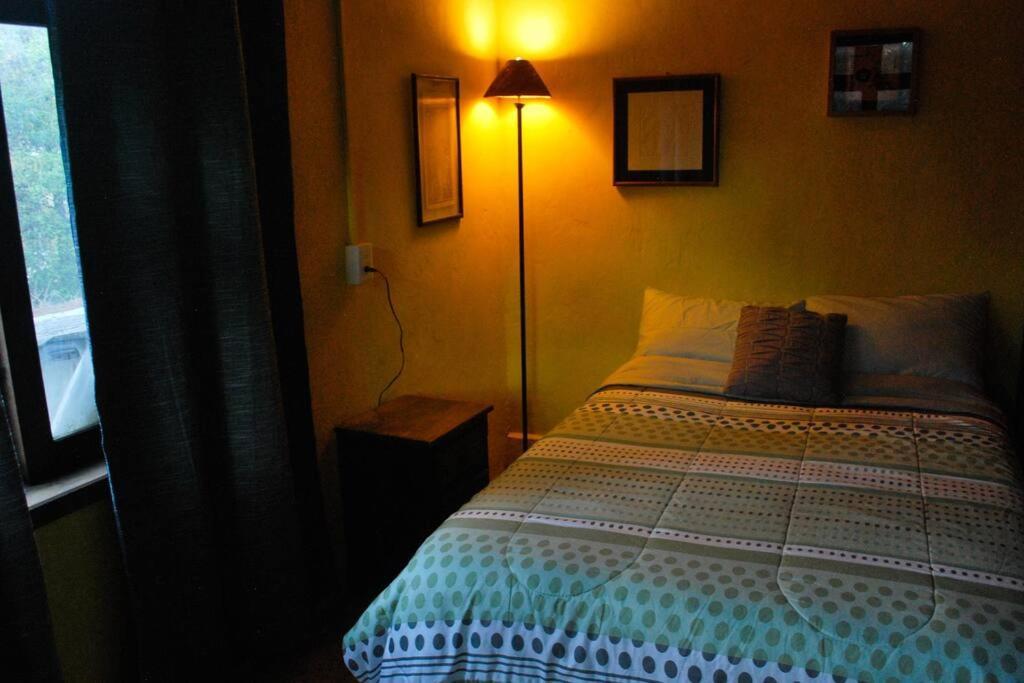 Hostal Casa 4 Estaciones, Coliving & Nature San Cristóbal de Las Casas Dış mekan fotoğraf