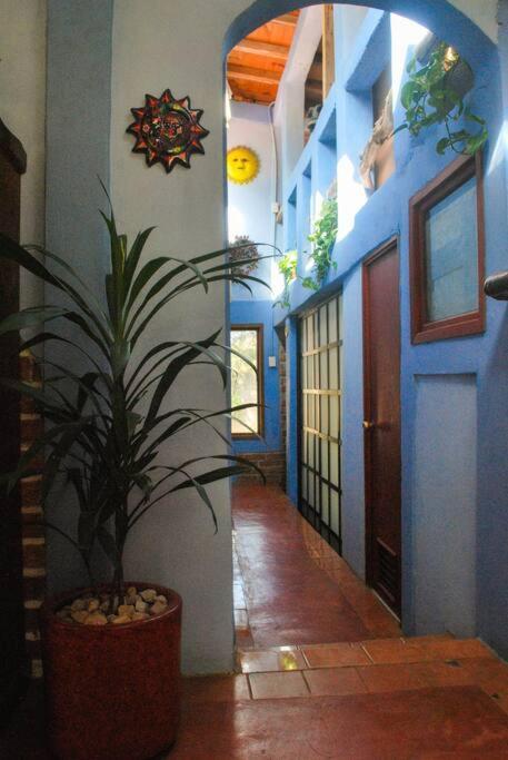 Hostal Casa 4 Estaciones, Coliving & Nature San Cristóbal de Las Casas Dış mekan fotoğraf
