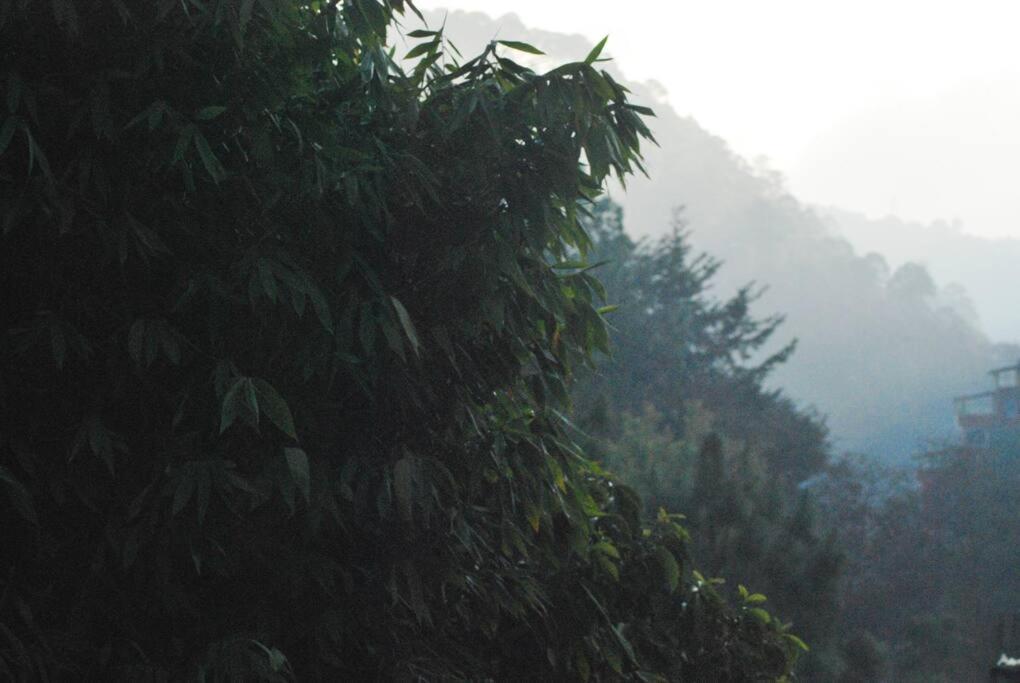 Hostal Casa 4 Estaciones, Coliving & Nature San Cristóbal de Las Casas Dış mekan fotoğraf