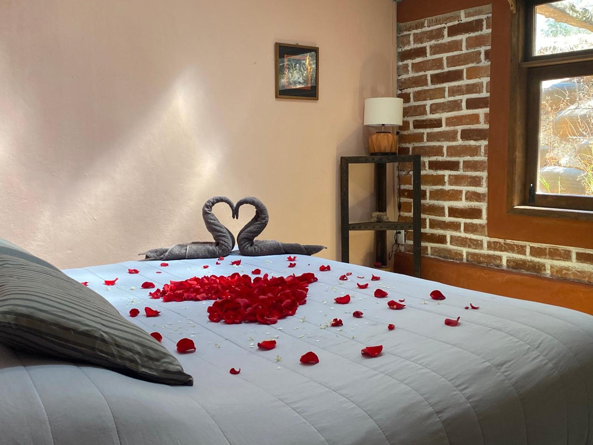 Hostal Casa 4 Estaciones, Coliving & Nature San Cristóbal de Las Casas Dış mekan fotoğraf